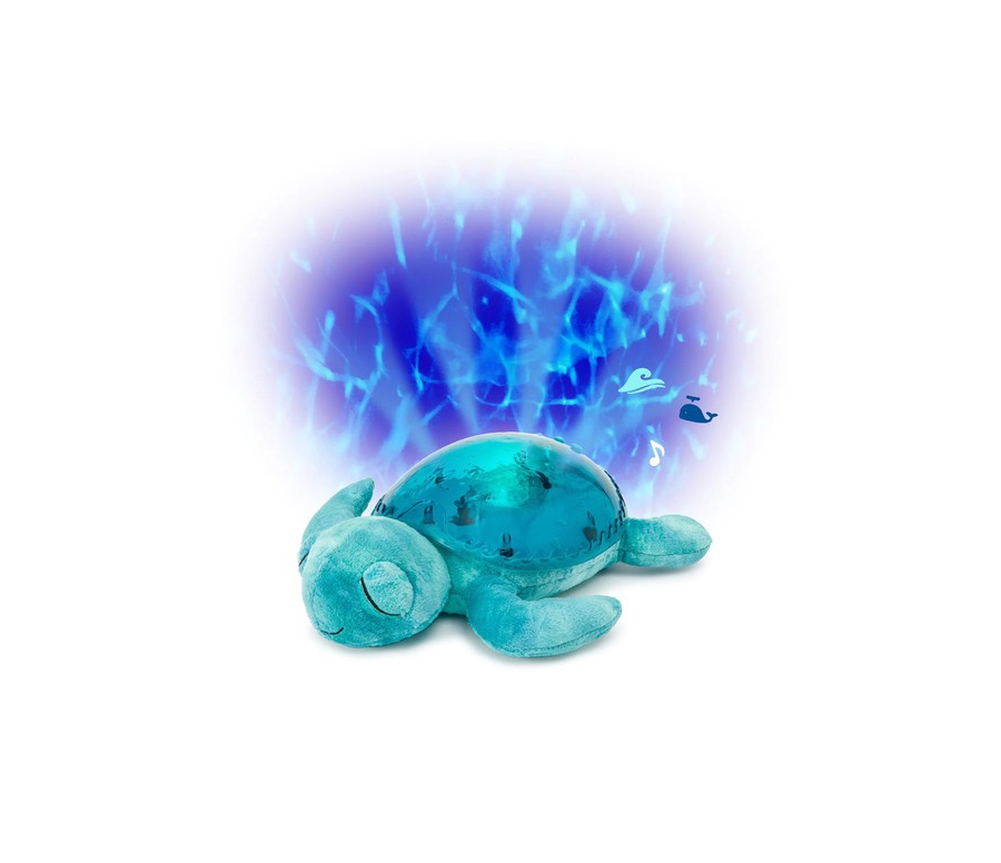 Tortuga Cloud B
