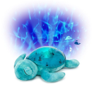 Tortuga Cloud B