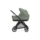 Electa Duo Inglesina Electa Duo Inglesina