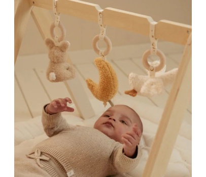 Gimnasio Naturals Little dutch