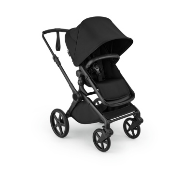 Bugaboo Cub
